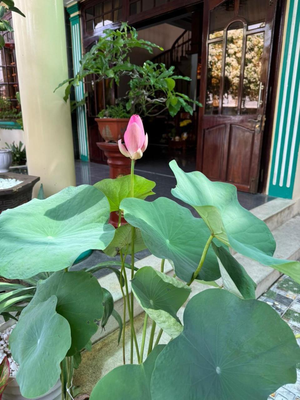 Noel Homestay 투이호아 외부 사진